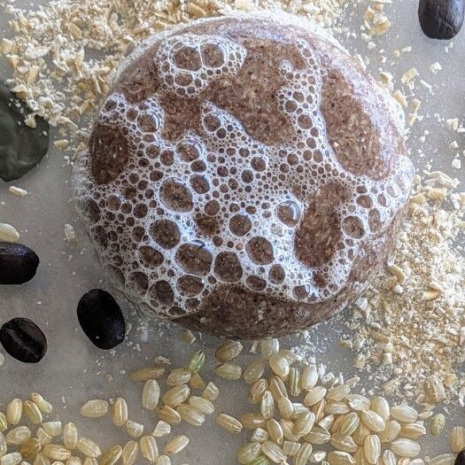 Superfoods shampoo bar with rich sudsy lather, surrounded by nutrient-dense coffee, rice, and ginseng