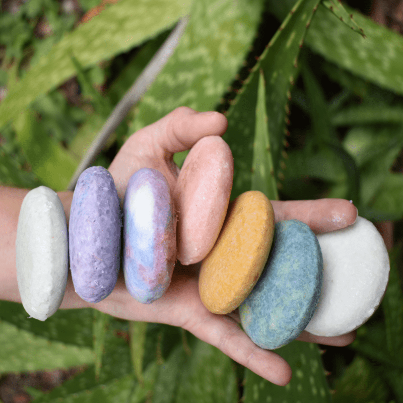 Tangie Shampoo Bars