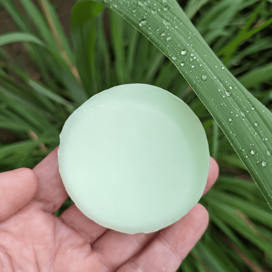 Hand holding a round green conditioner bar in front of fresh lemongrass leaves, symbolizing natural ingredients in Tangie’s Rosemary Lime Lemongrass Conditioner Bar.